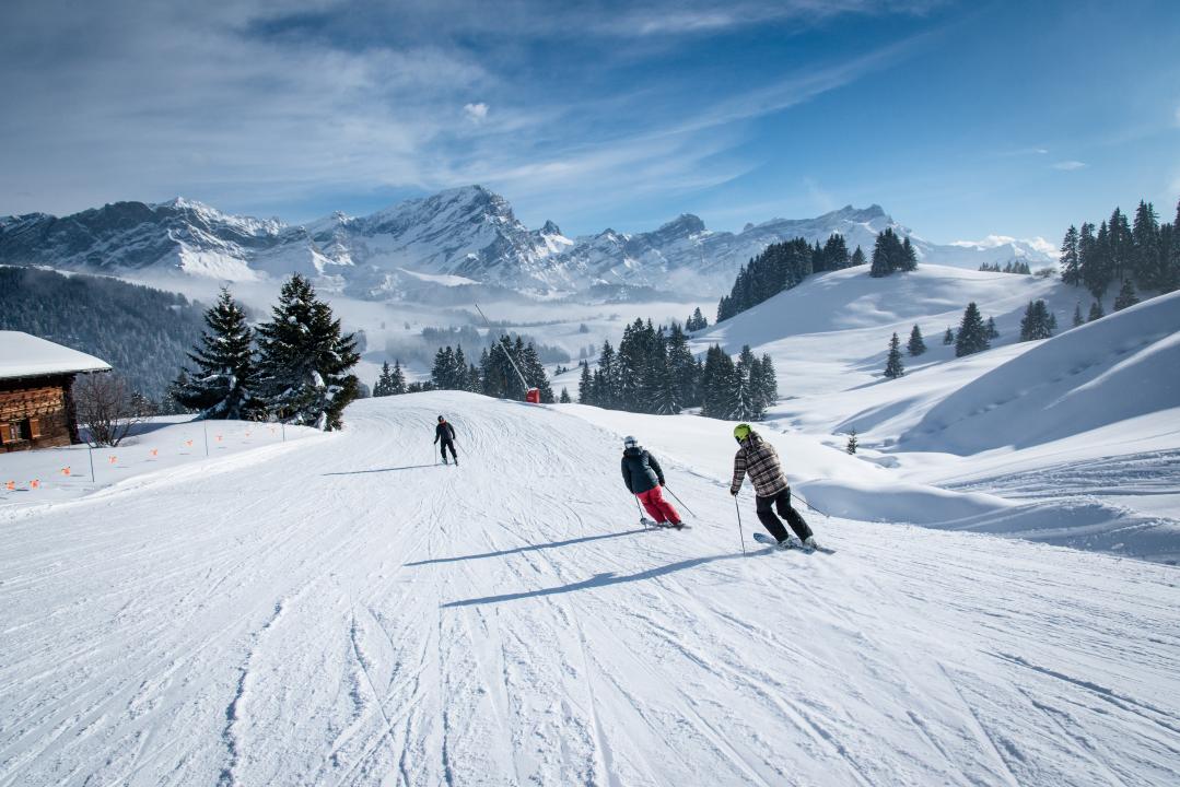 Activités d'été